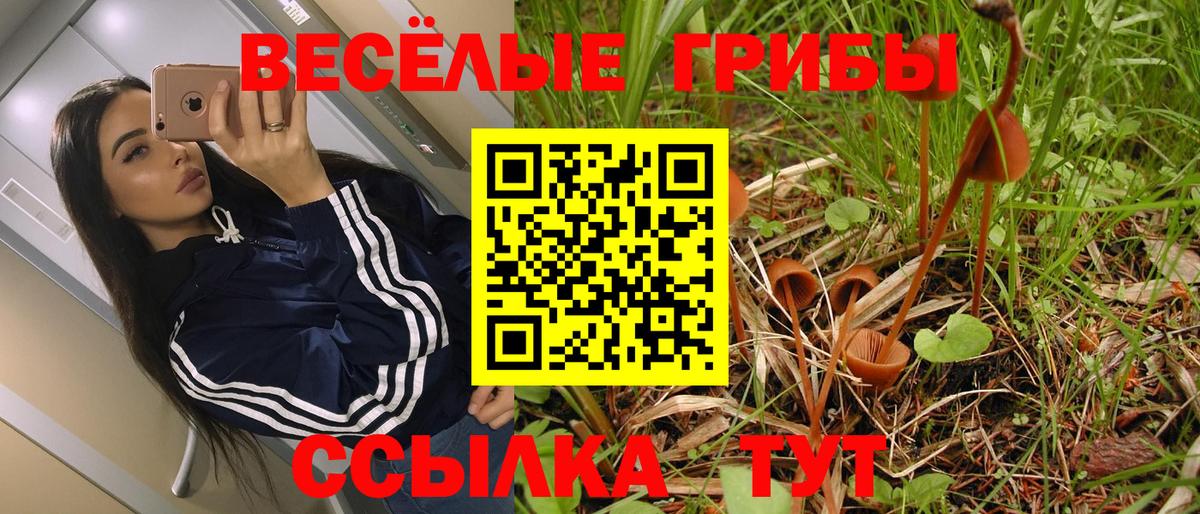 Галлюциногенные грибы прущие грибы Сыктывкар
